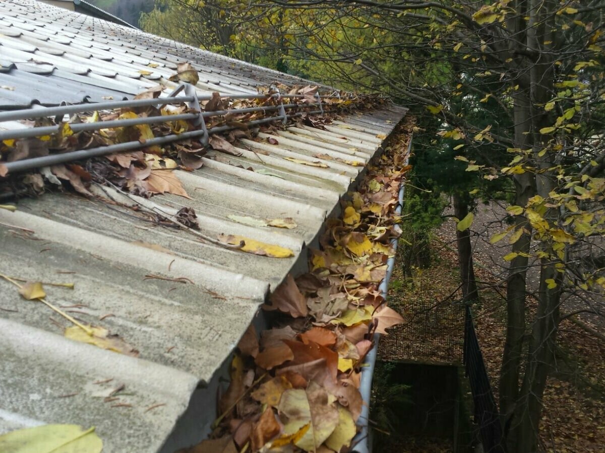 Dachrinne mit viel Herbstlaub, verstopfte Rinnen reinigen