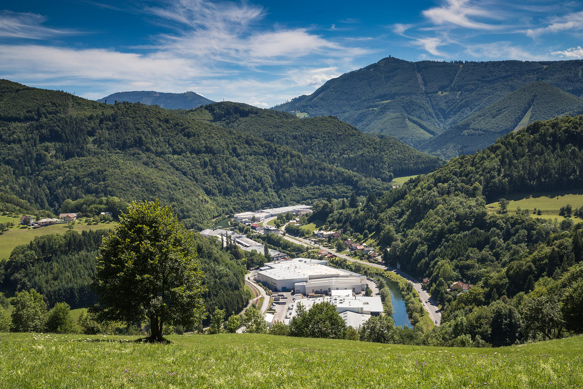 Photo de l'usine PREFA à Marktl depuis l’une des collines environnantes, avec arbre sur espace vert au premier plan et grandes forêts de Lilienfelder en arrière-plan