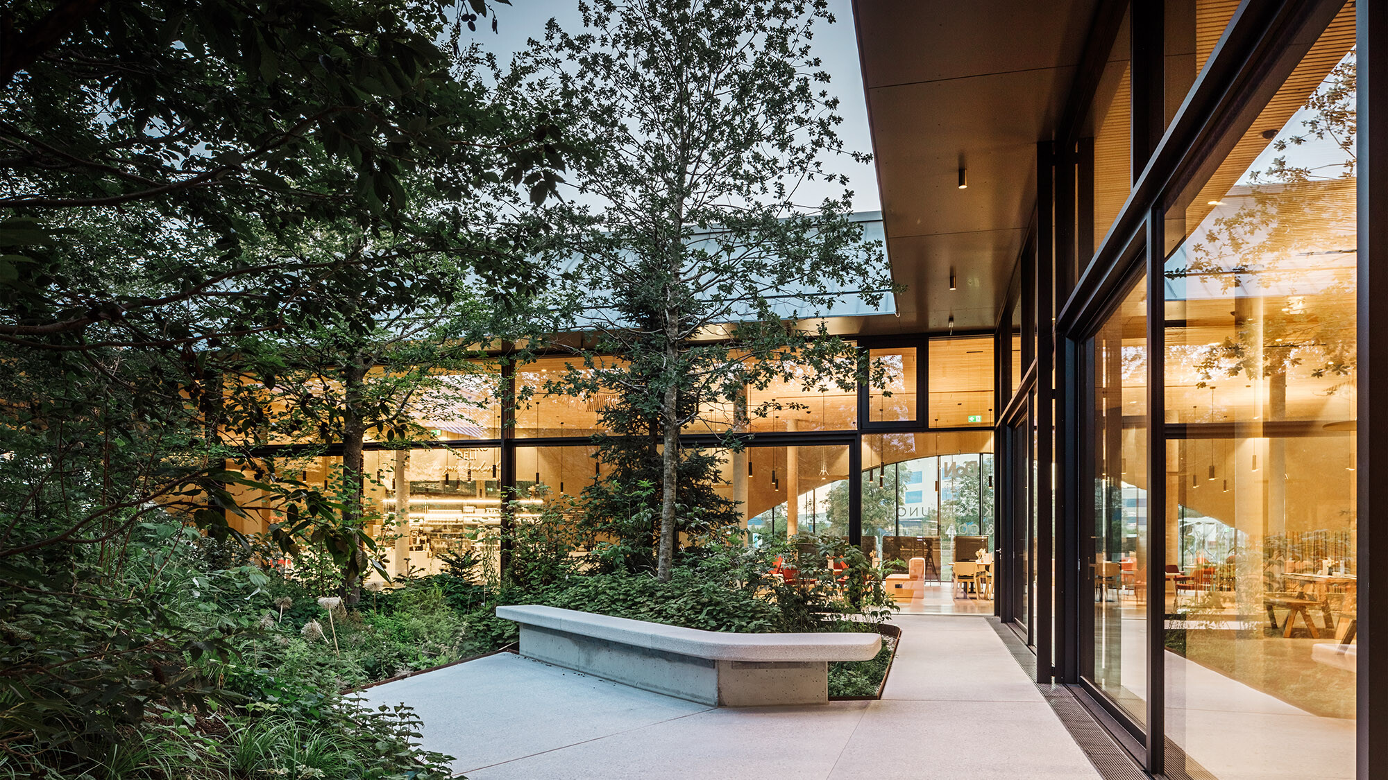 Une partie de la forêt mixte dans l'atrium, qui se trouve au centre de la construction.