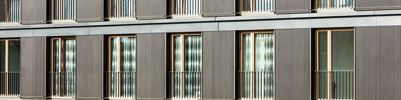 Vue de face du bâtiment avec une vue détaillée du profil PREFA triangle en gris noir.